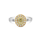 Solitaire Yellow Diamond with Halo in Two-Tone Gold - ShopMilano